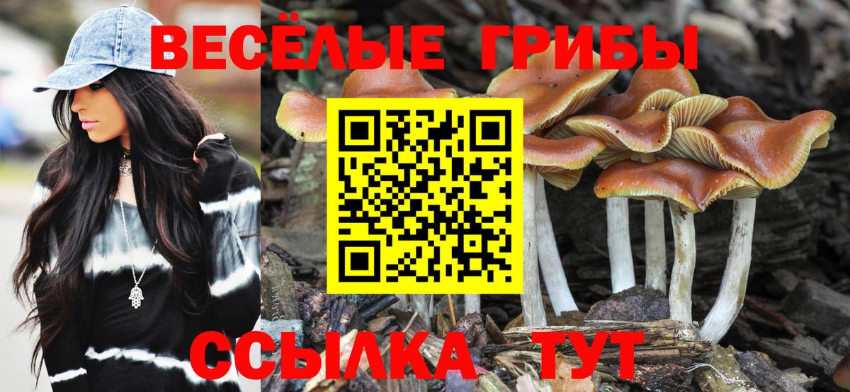 Псилоцибиновые грибы Cubensis  где купить наркотик  Домодедово  Вход с VPN 